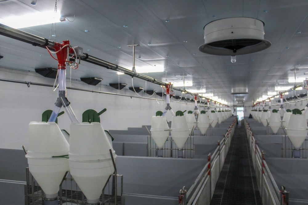 Błękitne Płyty Panele Thermo Izolacyjne XPS AGRO Zmywalna Podsufitka