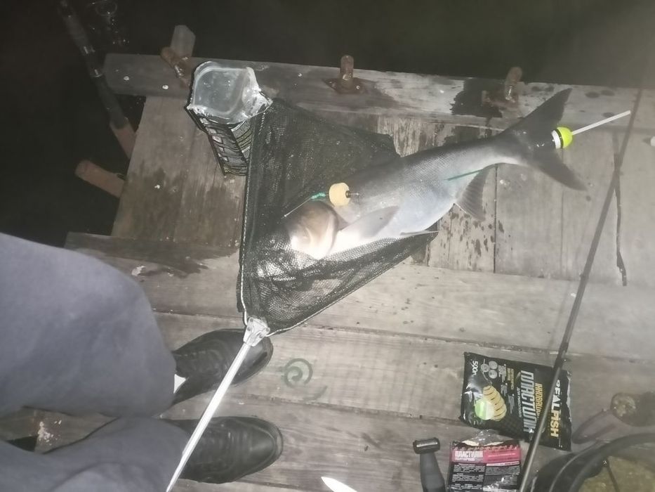 Оснастка на толстолоба. Тремпель двух поводковый на два технопланктона