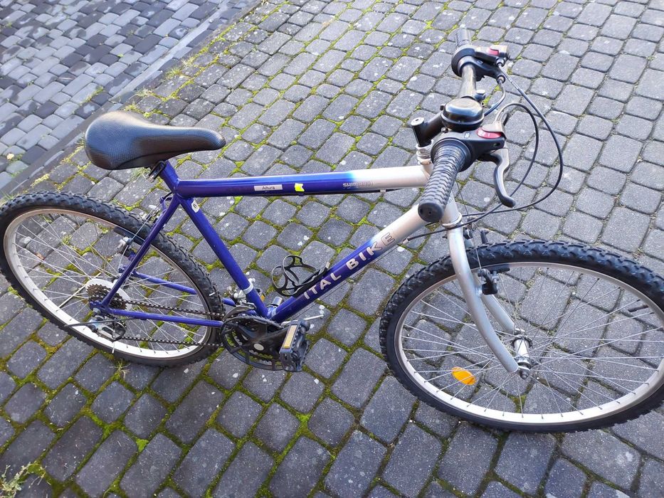 Rower Ital Bike używany