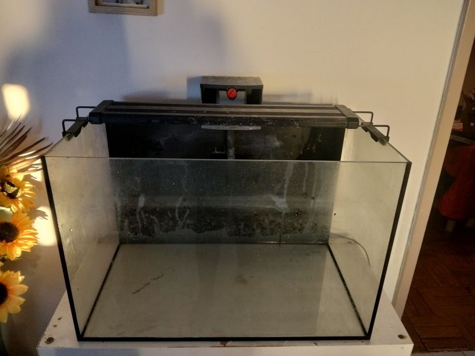 Aquário de 50litros + filtro e luz