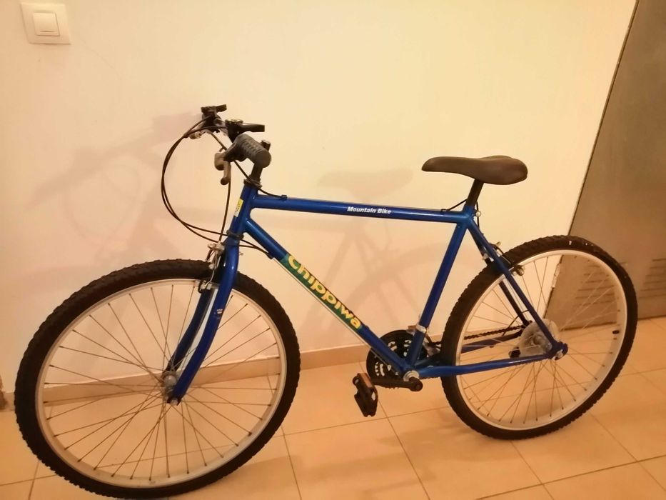 Bicicleta de montanha