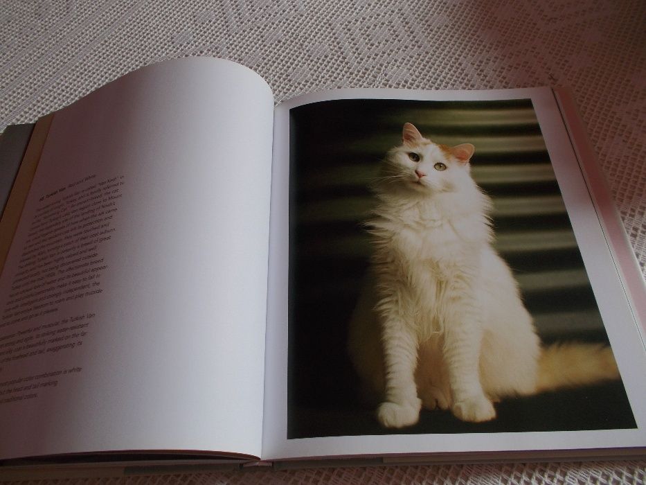 Livro sobre gatos The Cat´s Pajamas
