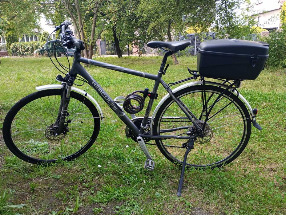 Rower męski Hercules Premium Pasero