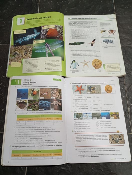 Livros escolares de ciências da natureza