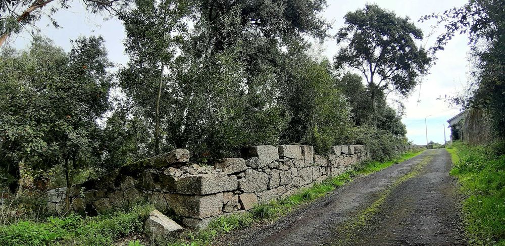 Terreno Urbanizável 10.000m2 - Santo Tirso | Particular