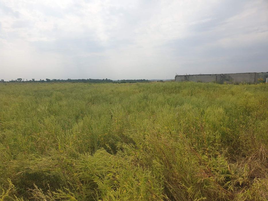 Земельна ділянка 1.34 га с. Крюківщина по док с. Тарасівка 5 км Київ поруч Гатне Вишневе