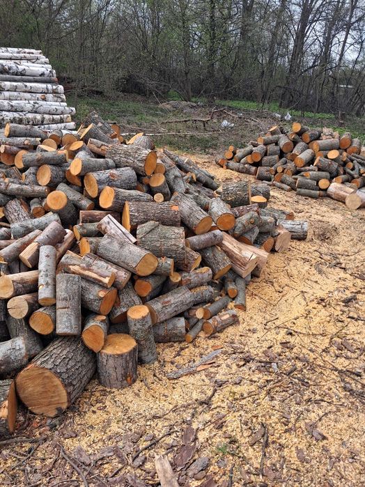 Продам дрова київська область