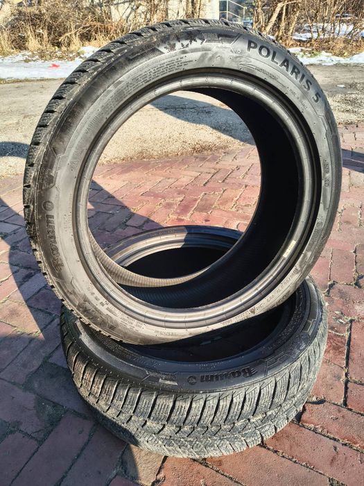 Opony zimowe Barum Polaris 5 205/50 r17