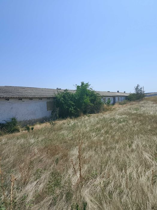 С/Х ферма(Свиноферма)