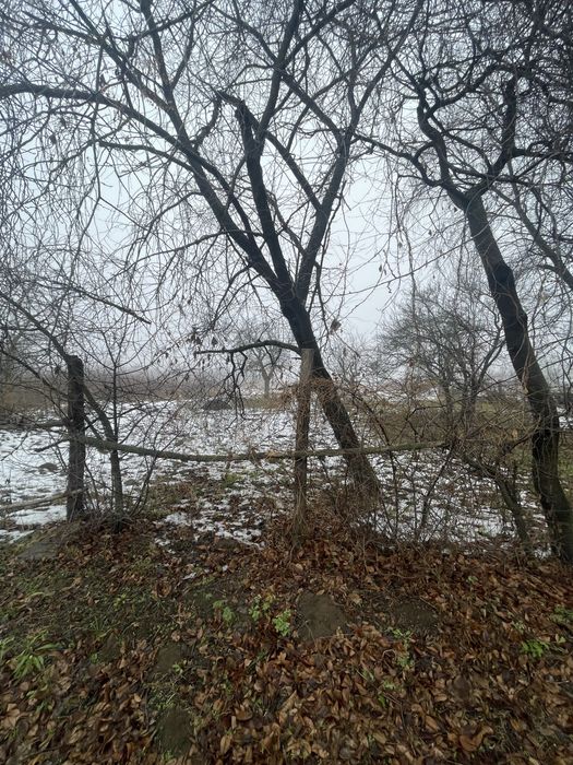 Земельна ділянка