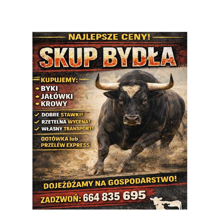 SKUP Bydła Koni Żywca !UBÓJ! Krowy,Krowa,Byk,Byków,Konie,Koń