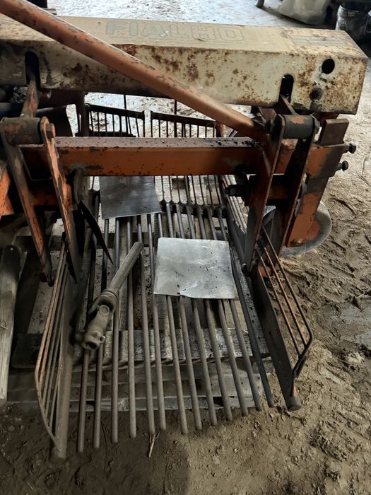 Arrencador batatas fialho