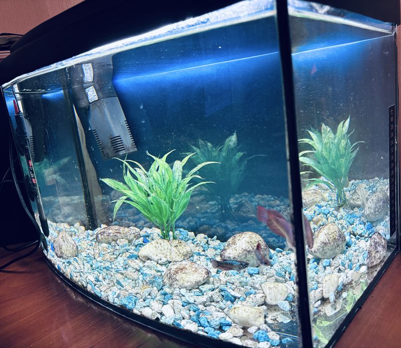 Аквариум 20л панорамный