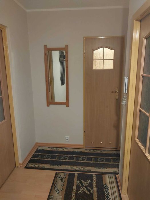 mieszkanie na wynajem