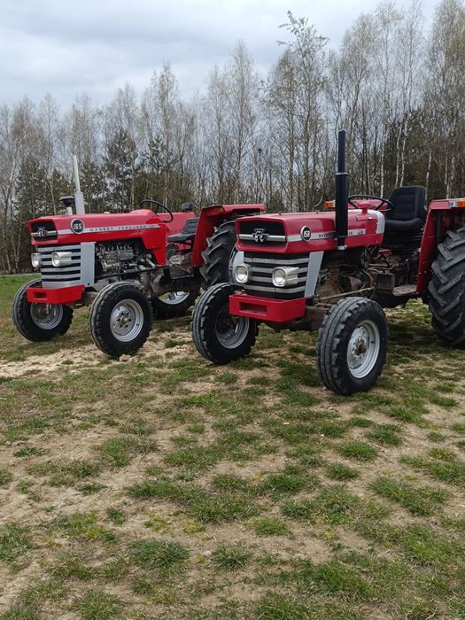 Massey Ferguson 165