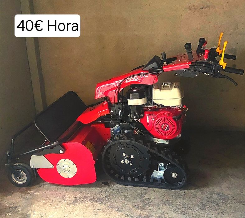 Limpeza e desmatação de terrenos, lotes e quintais