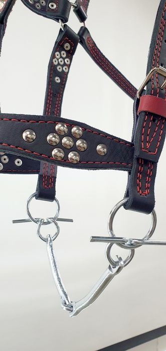 Кінна амуніція, Вуздечка , гнуздечка , кантарка, шкіра ручна робота