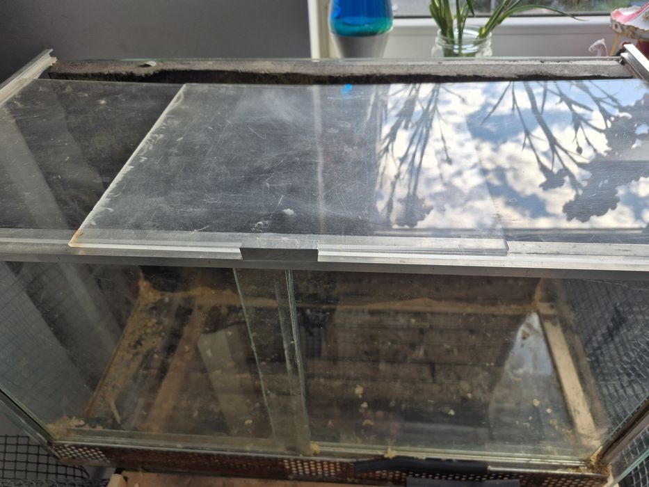 Terrarium dla jeża gekona chomika