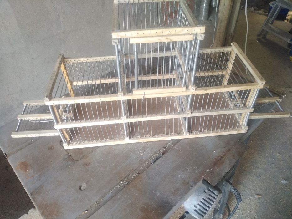 Alçapão automático