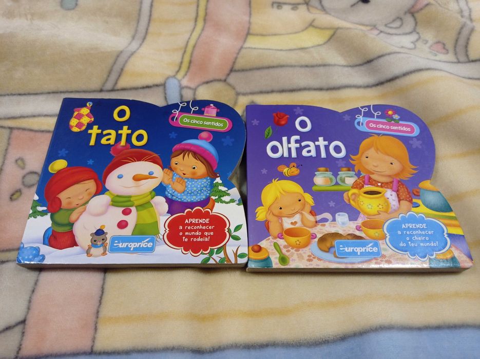 Livro infantil  os 5 sentidos