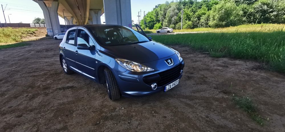 Peugeot 307 1.6 hdi 90km 2006 rok