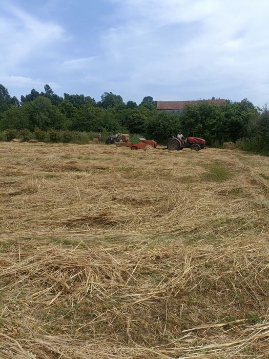 Vendo fardos de palha