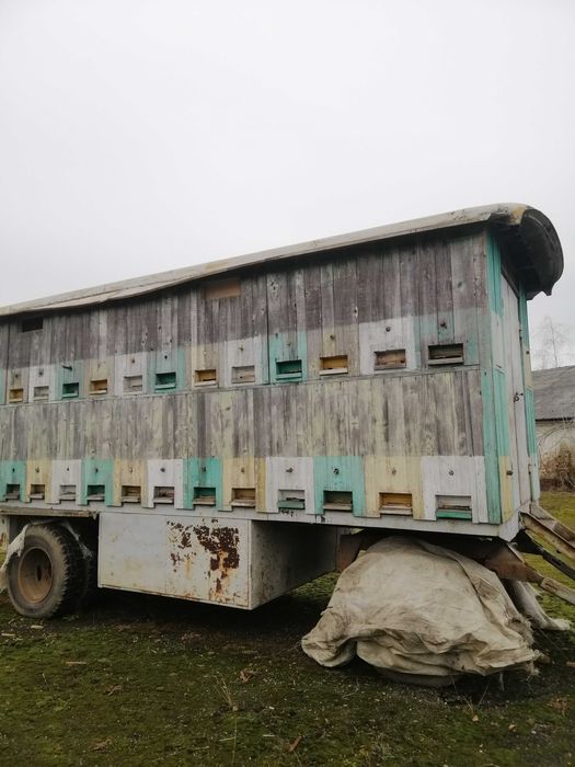 продам павільйон із бджолами
