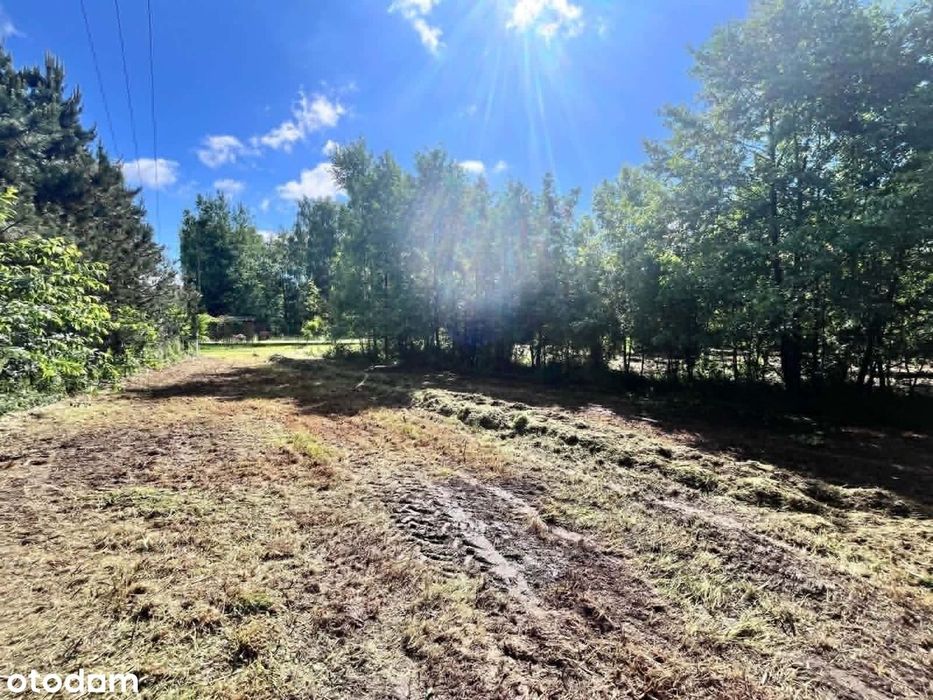 Działka budowlana 1288m² Rokitnica|przy lesie i stawie|Prąd na działce - Więcej
