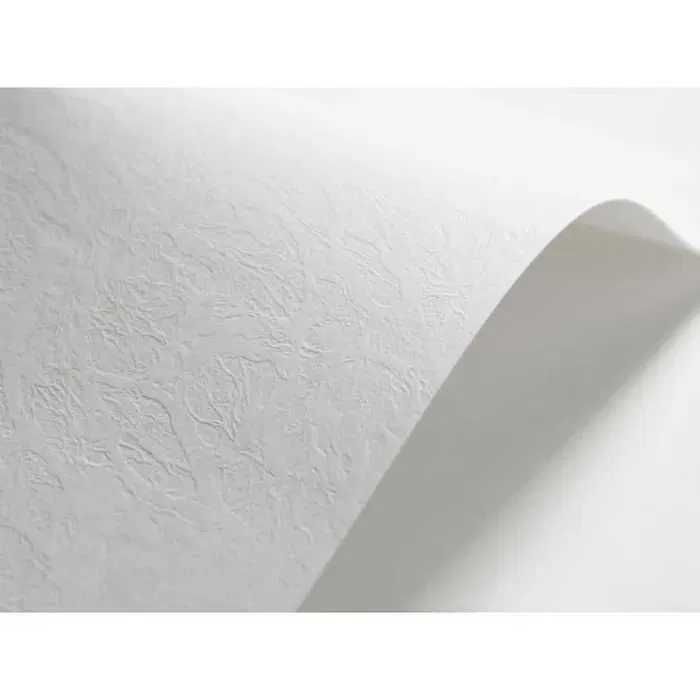 elfenbens 200 ark  papier A4 skóra biała 246g