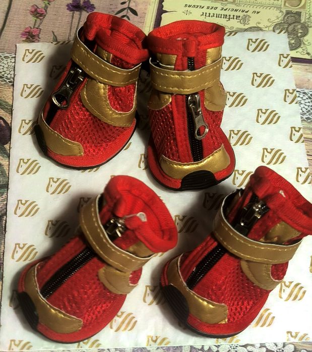 Ботинки для собак,красные сетчатые с золотистой отделкой и застежками-
