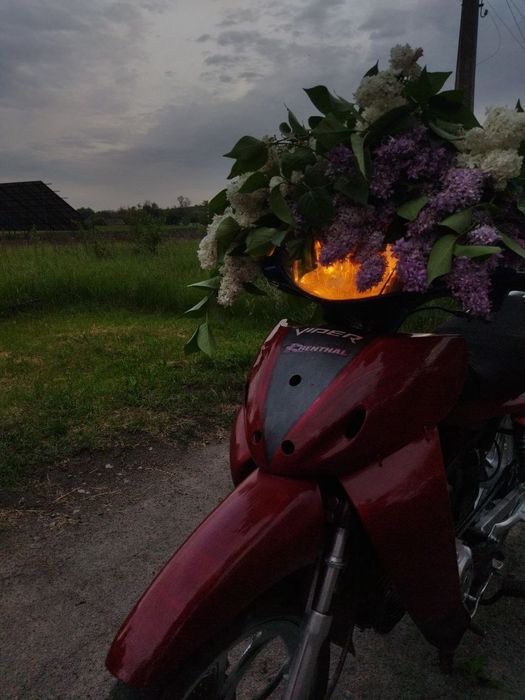 Вайпер актив 110