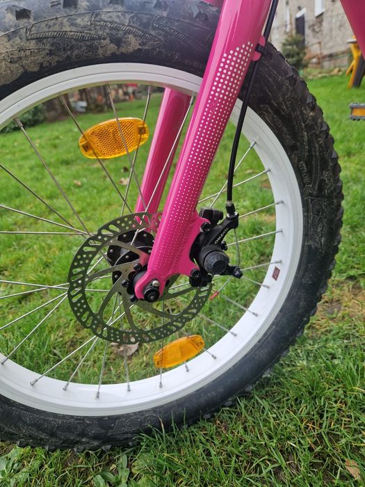Rower Trek Roscoe 20 cali Pink