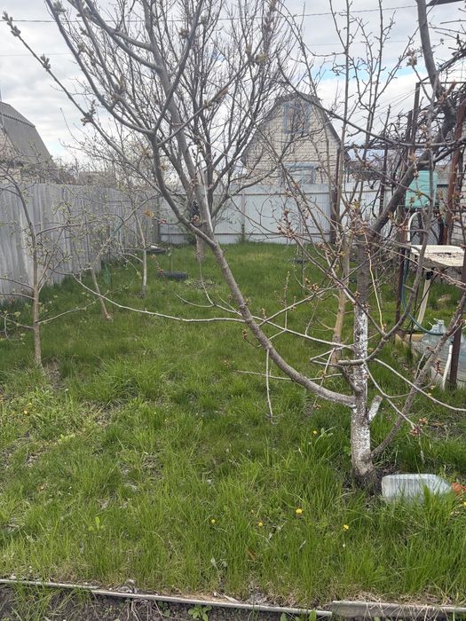 Продається дача Сади 3 СТ Созідатель