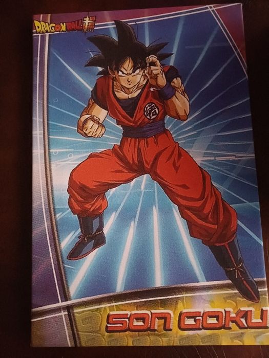 Bonito Quadro Son Goku