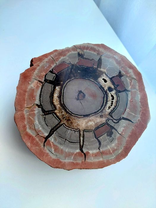 SEPTARIA Kamień Minerał Naturalny #97