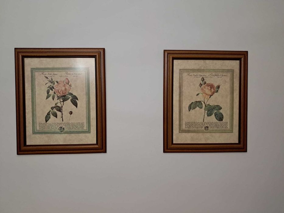 Quadros diversos em ótimo estado