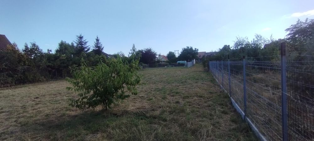 Zdjęcie 4