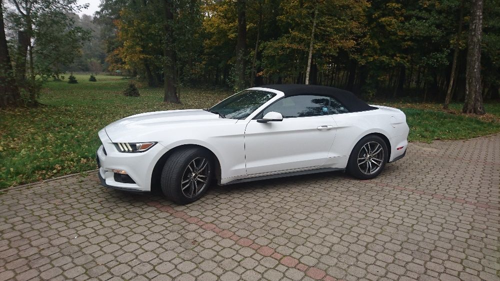 Wynajem Biały Ford Mustang Cabrio 2016 Do ślubu