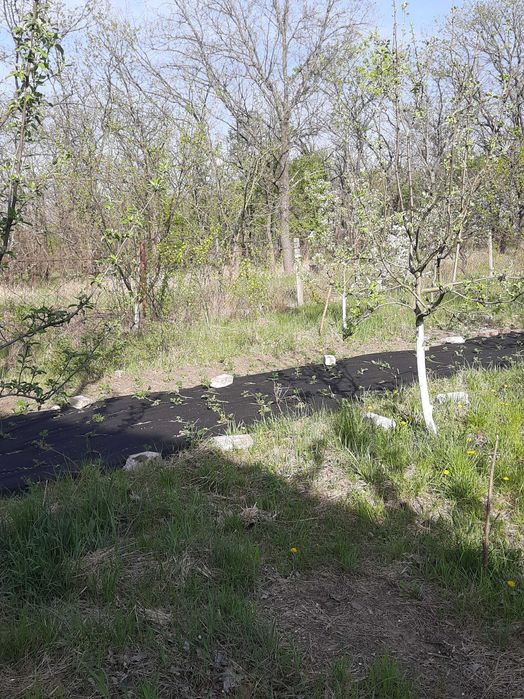 Дача в с. Ямбург