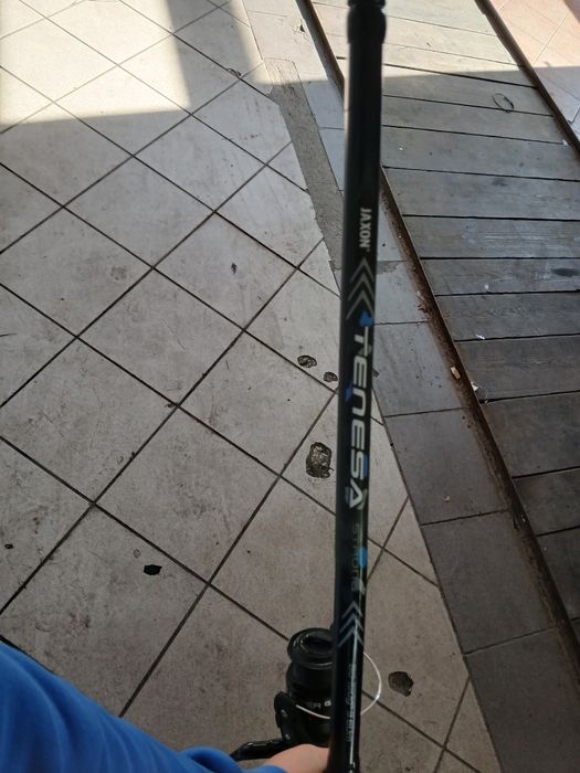 Sprzedam wentke kij jaxon i kolowrotek galloper 601 fd karpiowka