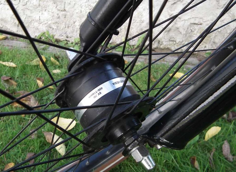 Cruiser rower alu nexus shimano shwalbe
