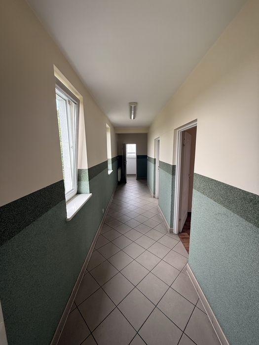 Lokal do wynajęcia Września