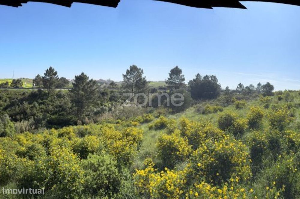 Terreno rústico com parcela urbana à beira da A8