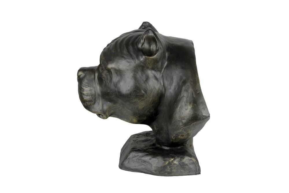 American Bully I urna z żywicy Art-Dog