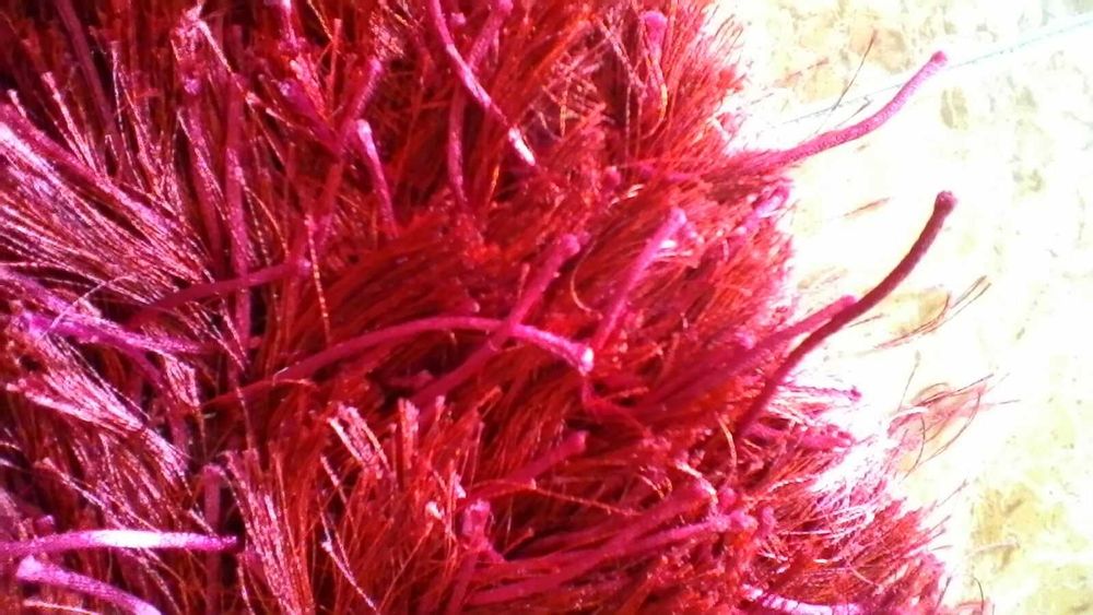 Tapetes Leroy Merlin