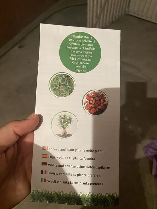 Terrarium kit novo