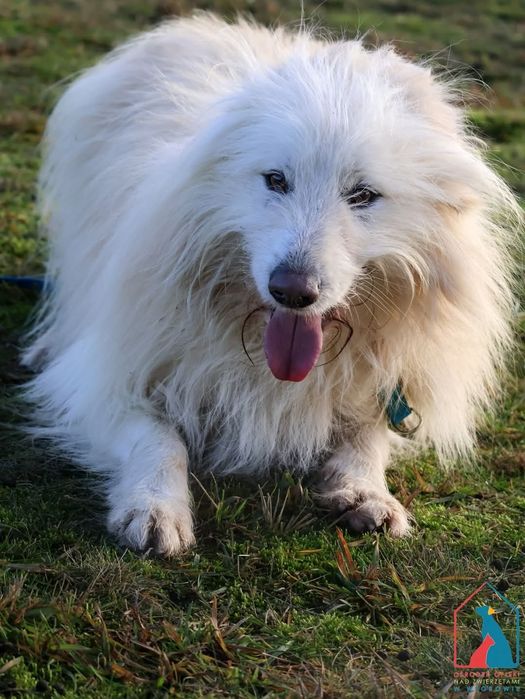 Malvin 257/24 - SZUKA DOMU!