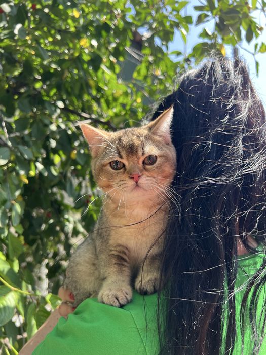 Хлопчик в плюшевій  шиншиловій шубці