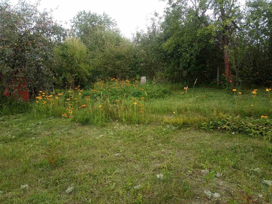 Продам дачний будинок 42 м2 і зем ділянку 5 сот Березанка.