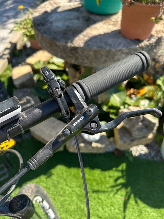 Bicicleta de Monte